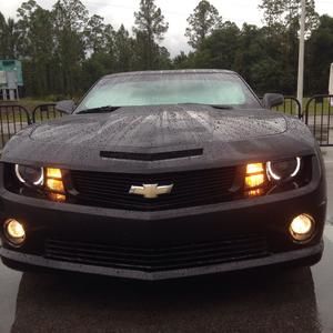 Meet your Posher, William